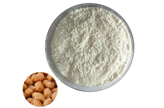 Natto kinase