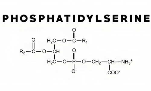 Phosphatidyl Serine Phosphatidyl Serine