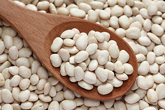 White_Kidney_Bean.png