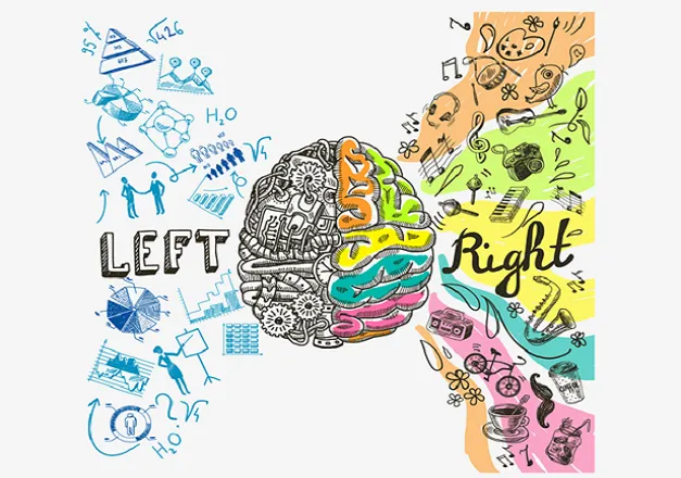 Brain Health-Ein boomendes Marktsegment