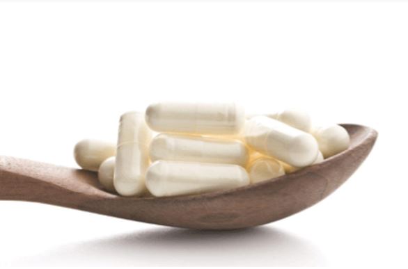 Reishi_Capsules.JPG