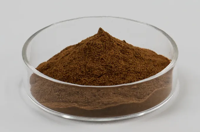 Organisches Reishi-Polysaccharid 30%