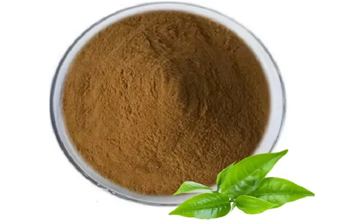 Grüner Tee Extrakt 50%