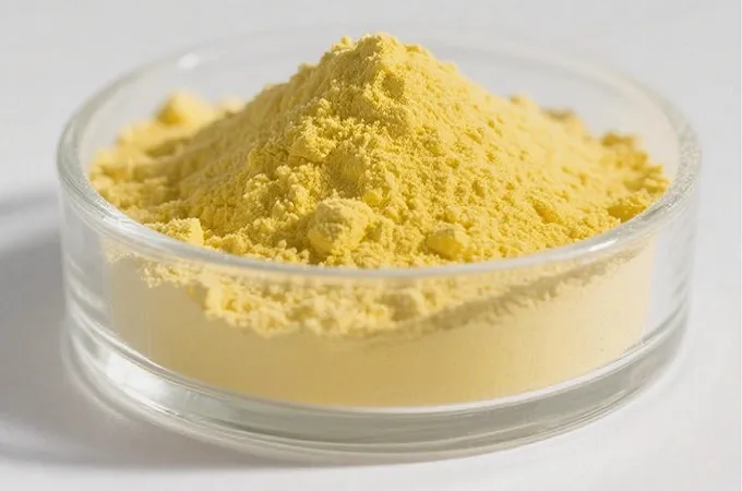 Liposomale Berberin Hcl 50%