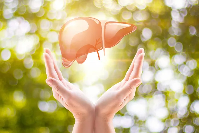 OEM-Lösungen für Nutrace utical Premix-Pulver decken eine Reihe von Gesundheits sektoren ab